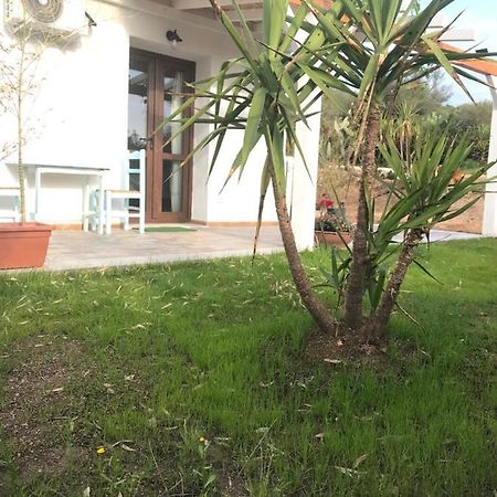 Hotel La Fragola In Campagna 6 K M Da San Pantaleo Exterior foto