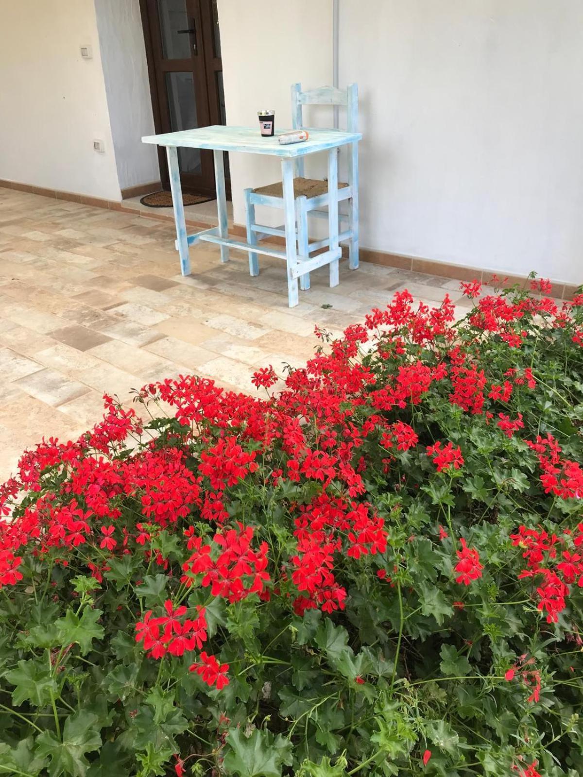 Hotel La Fragola In Campagna 6 K M Da San Pantaleo Exterior foto