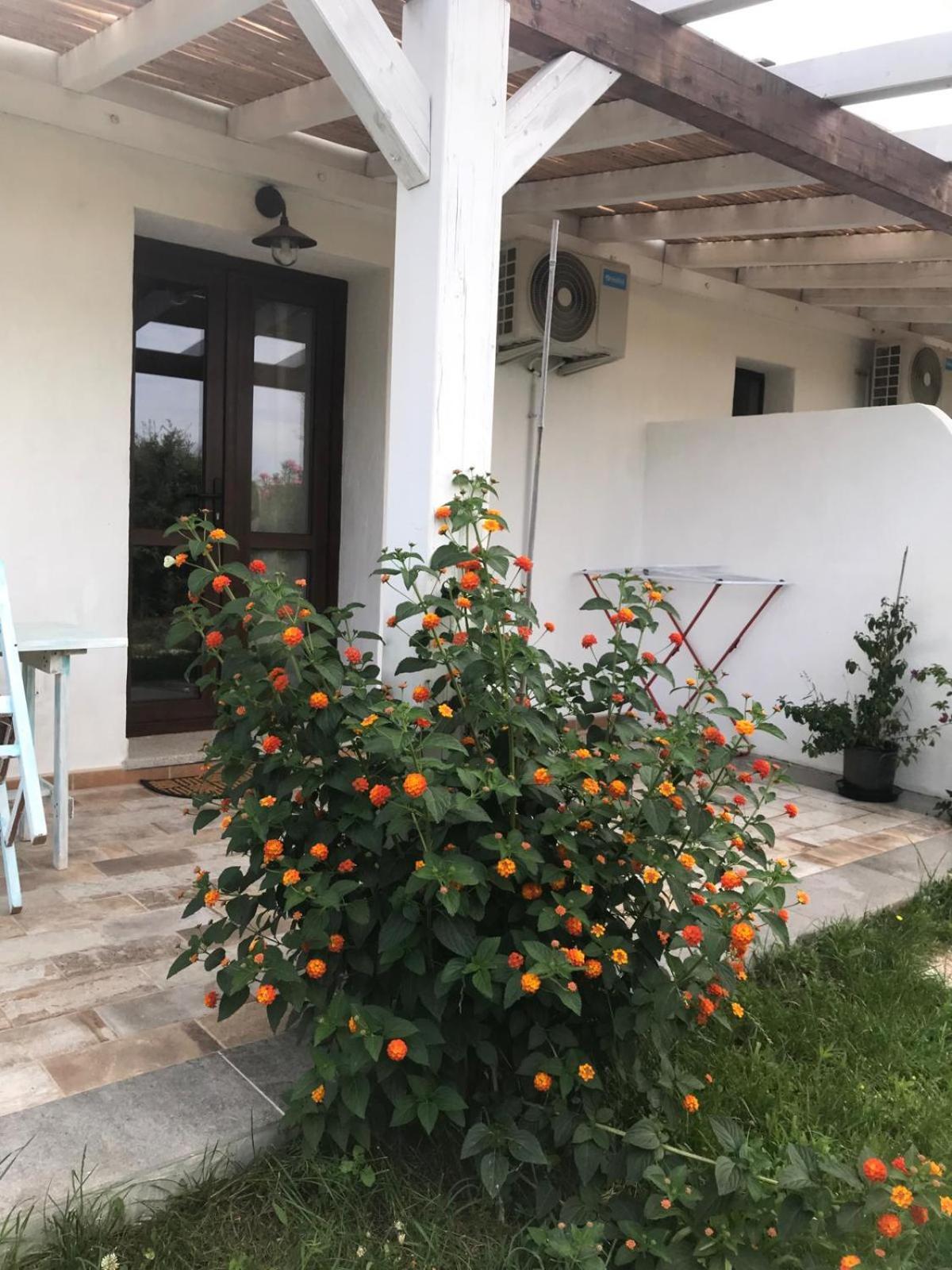 Hotel La Fragola In Campagna 6 K M Da San Pantaleo Exterior foto