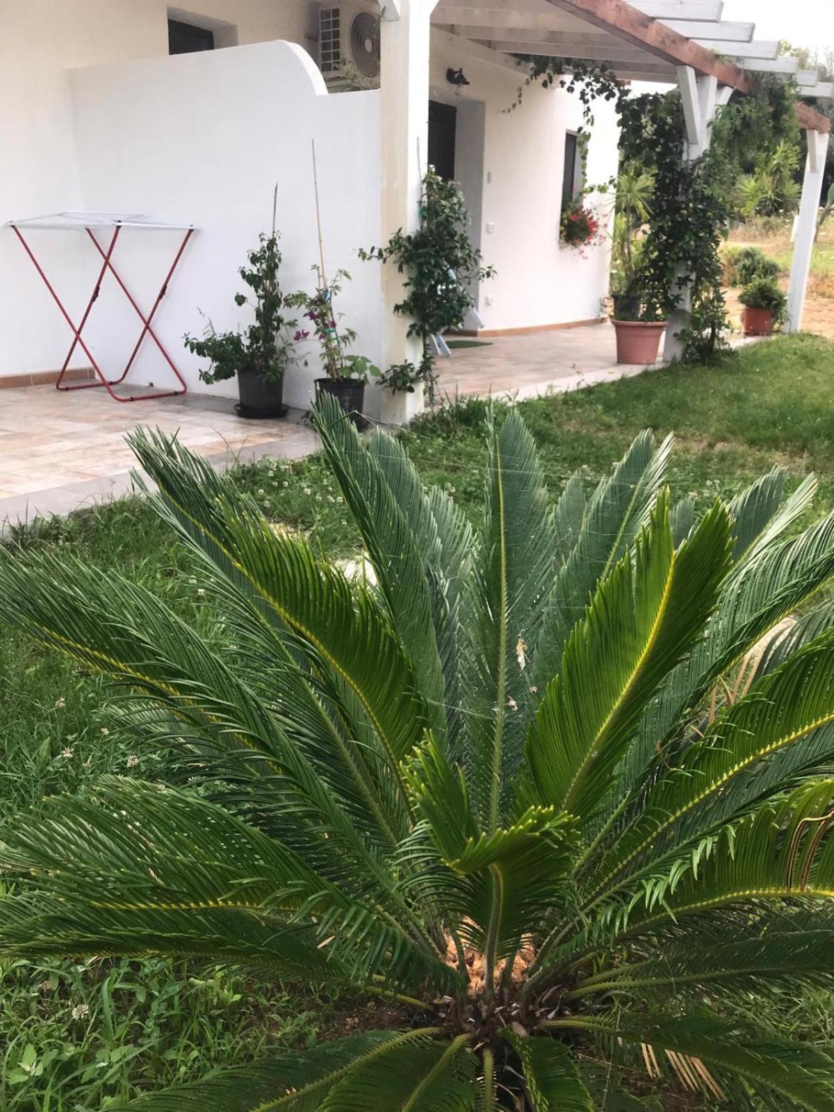 Hotel La Fragola In Campagna 6 K M Da San Pantaleo Exterior foto